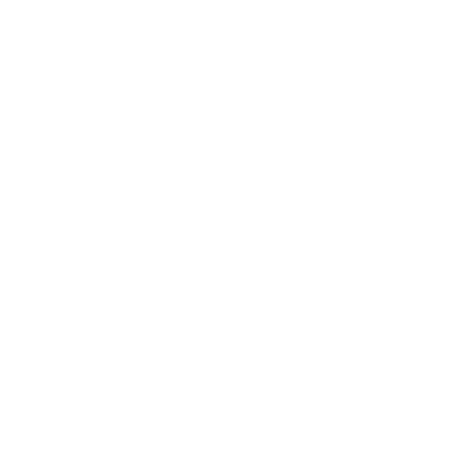 icon-felge
